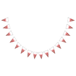 Drapeaux de graduation et de ralliement de fête   