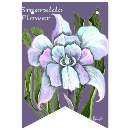 Drapeaux de smeraldo (Premier drapeau)