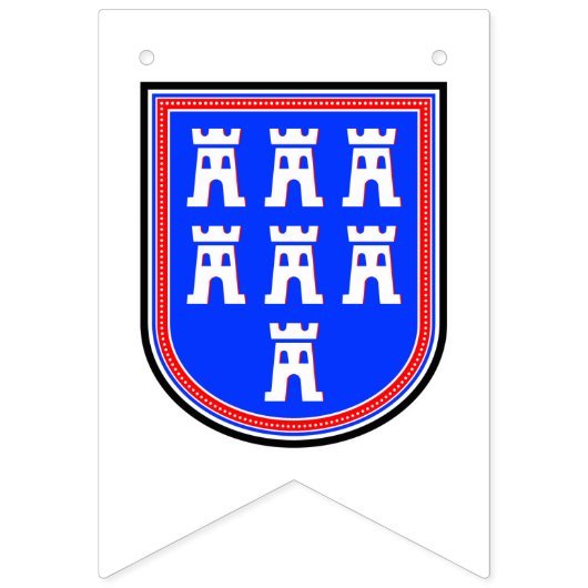 Drapeaux de Transylvanie (Deuxième drapeau)