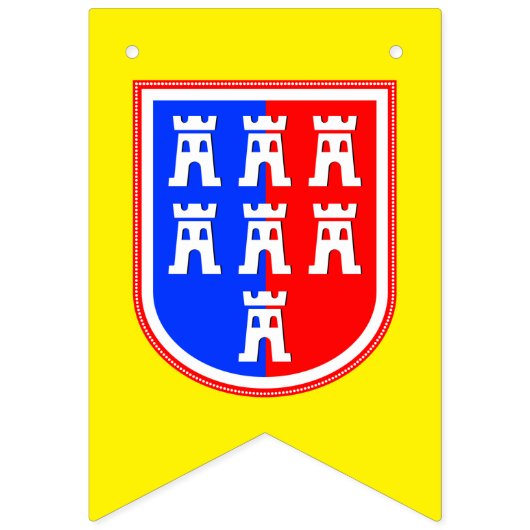 Drapeaux de Transylvanie (Deuxième drapeau)