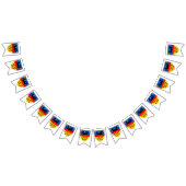 Drapeaux de Transylvanie (Tout)