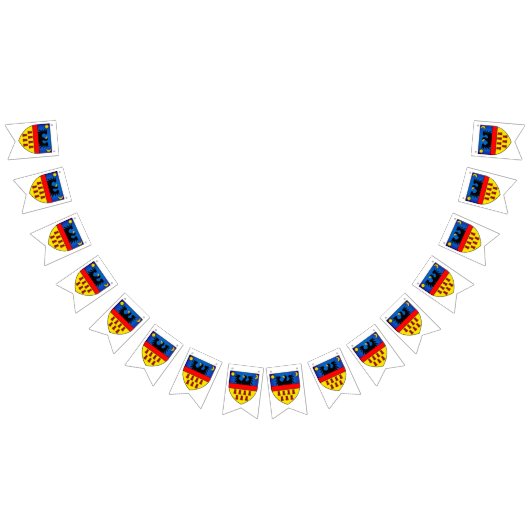 Drapeaux de Transylvanie (Tout)