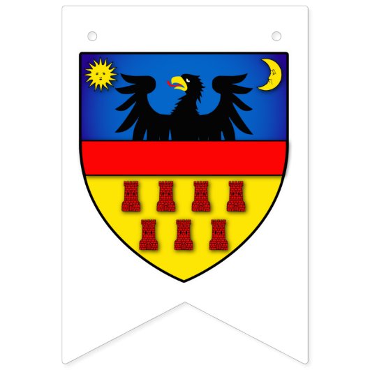 Drapeaux de Transylvanie (Deuxième drapeau)