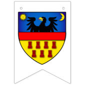 Drapeaux de Transylvanie (Premier drapeau)