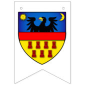 Drapeaux de Transylvanie (Troisième drapeau)