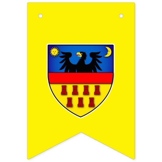 Drapeaux de Transylvanie (Deuxième drapeau)