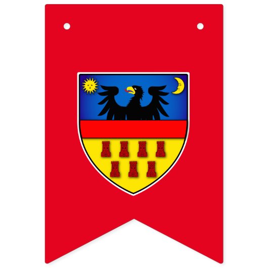 Drapeaux de Transylvanie (Premier drapeau)