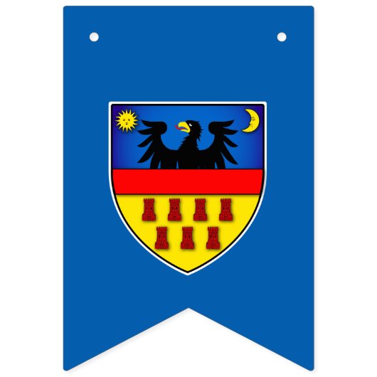 Drapeaux de Transylvanie (Troisième drapeau)