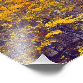 Draped Herfst Trees Foto Afdruk (Hoek)