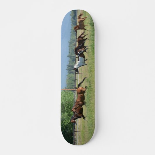 Dravende paarden skateboard (Voorkant)