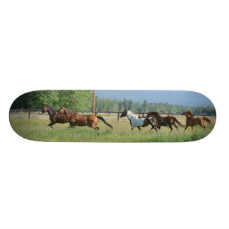 Dravende paarden skateboard