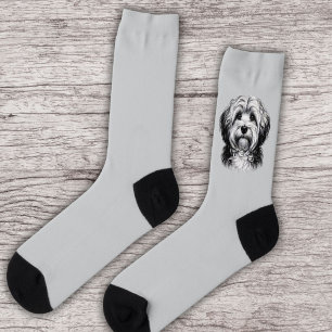 Drawing Havanese Dog Sokken