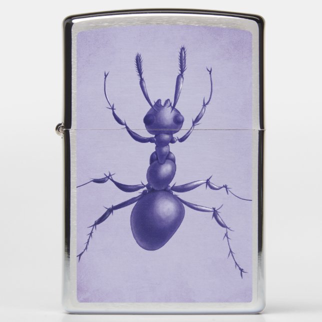 Drawn Paarse Ant (Voorkant)