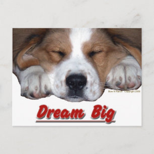 Dream Big Dog Briefkaart