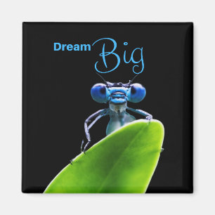 Dream Big Dragonfly Motivatie Quote Magnet Magneet
