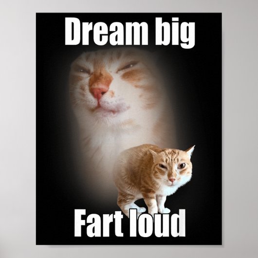 Dream Big Fart Loud Cat Meme Funny Saying  Poster (Voorkant)