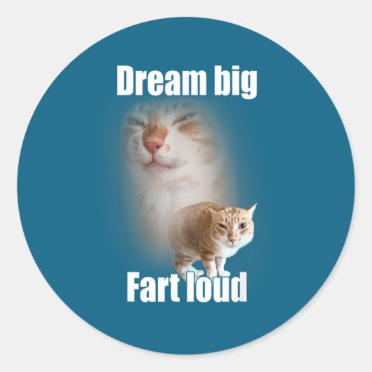 Dream Big Fart Loud Cat Meme Funny Saying  Ronde Sticker (Voorkant)