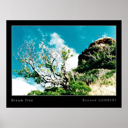 Dream-boom Poster (Voorkant)