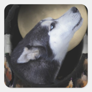 Dream catcher en blue eyed Husky Vierkante Sticker