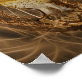 Dream catcher owl poster (Hoek)