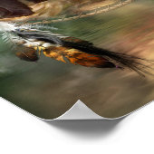 Dream Catcher Series-Spirit van het Beer Poster (Hoek)