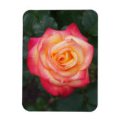 Dream Come True Rose #1-1 Magnet (Vertical)