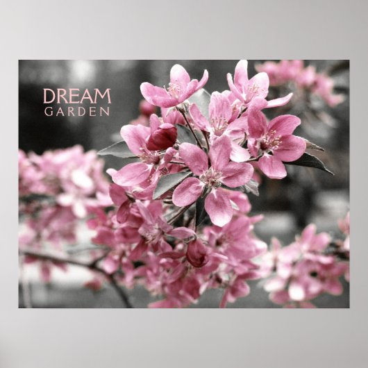 Dream Garden Poster (Voorkant)