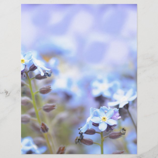 Dream in blauw (Voorkant)