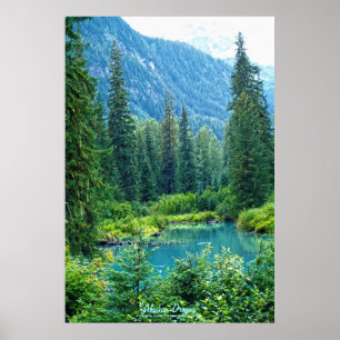 Dream Lake Alaska, Verenigde Staten & Bossen Foto Poster