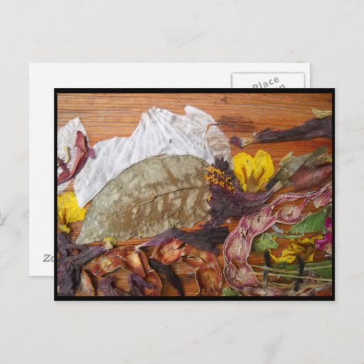 Dream-Landschap Briefkaart (Voorkant / Achterkant)