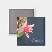 Dream Magnet (Recto/Verso)