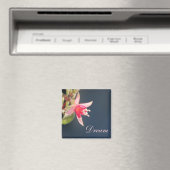 Dream Magnet (In Situ (Lave-vaisselle))