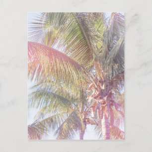 Dream Palm Tree Briefkaart