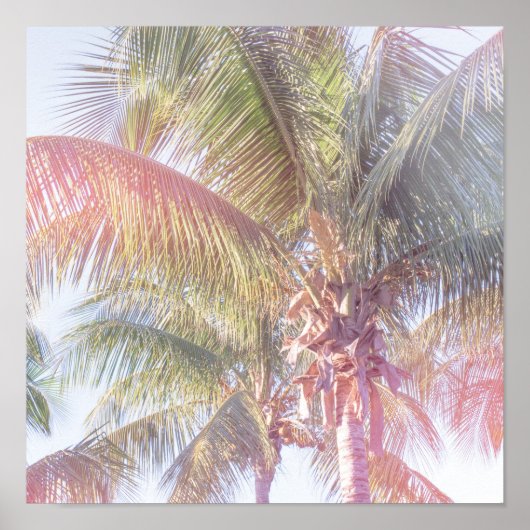 Dream Palm Tree Poster (Voorkant)