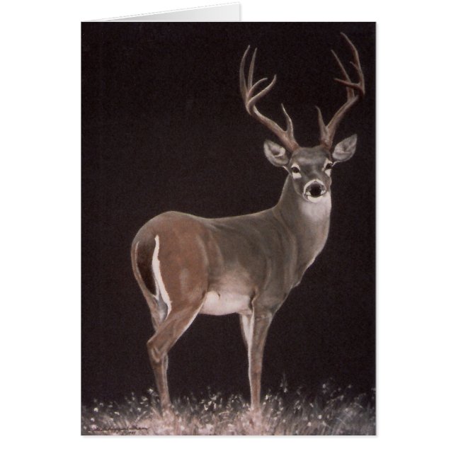 Dream Stag (Voorkant)