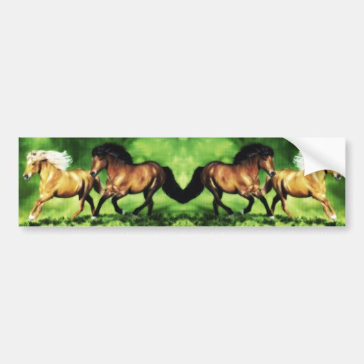 Dream Team Bumpersticker (Voorkant)