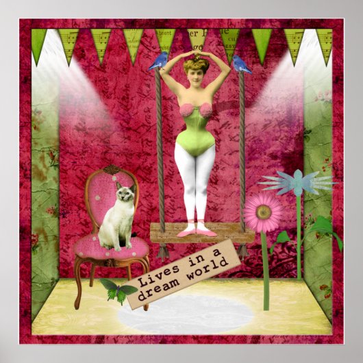Dream World  Funky Ballerina Veranderde Kunst Poster (Voorkant)