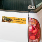 dreamcatcher-paard bumpersticker (Op Truck)