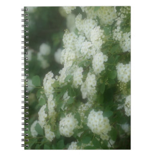 Dreamfred Wild White Roses Carnet naturel