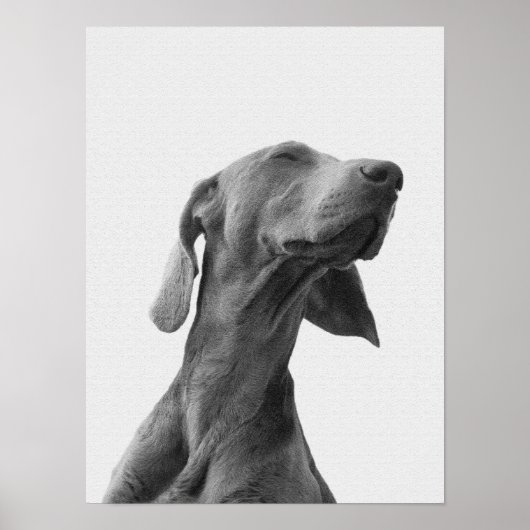 Dreaming dog Poster (Voorkant)