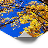 Dreaming in kleur poster (Hoek)