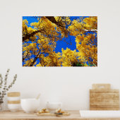 Dreaming in kleur poster (Keuken)