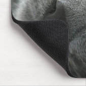 Dreaming kat muismat (Hoek)