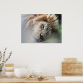 Dreaming Lion Poster (Keuken)