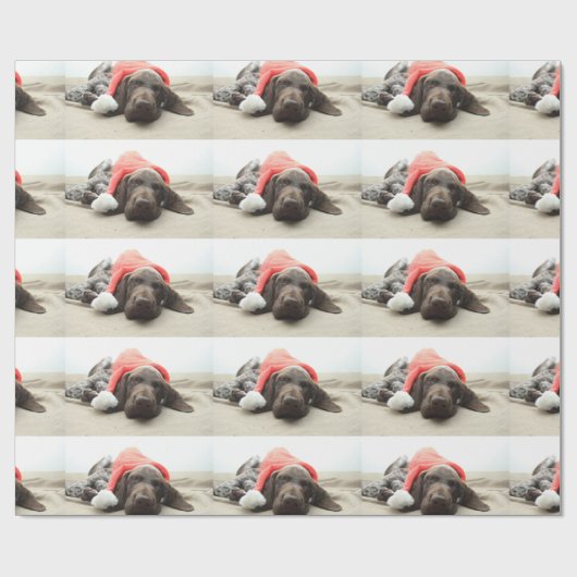 Dreaming van de Santa - Duitse Shorthair Puppy Cadeaupapier (Vlak)
