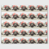 Dreaming van de Santa - Duitse Shorthair Puppy Cadeaupapier (Vlak)