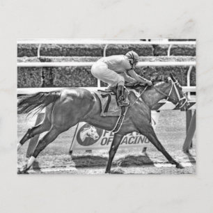 Dreaming van Julia- 2-jarige filly Champion Briefkaart