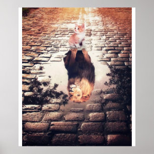 Dreaming van kattenleeuw, grappige kat-cadeau poster