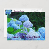Dreams komen uit True! briefkaarten Blue Hydrangea (Voorkant / Achterkant)