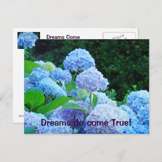 Dreams komen uit True! briefkaarten Blue Hydrangea (Voorkant / Achterkant)
